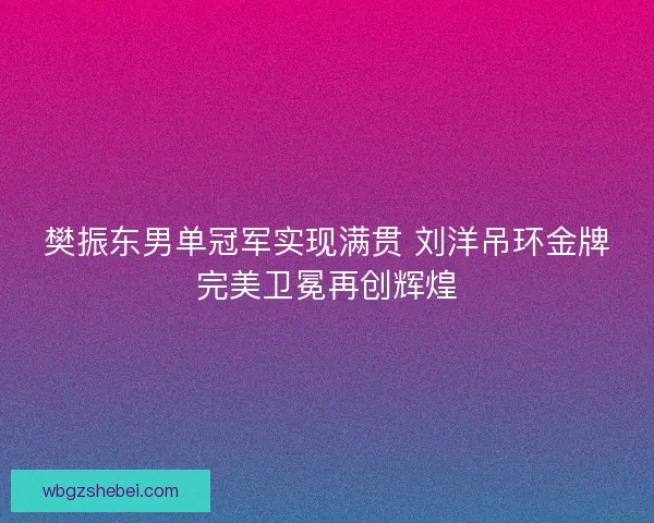 樊振东男单冠军实现满贯 刘洋吊环金牌完美卫冕再创辉煌
