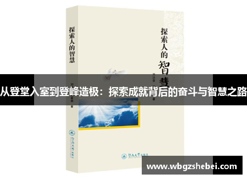 从登堂入室到登峰造极：探索成就背后的奋斗与智慧之路